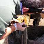 IMG_25721