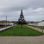 dsc00040