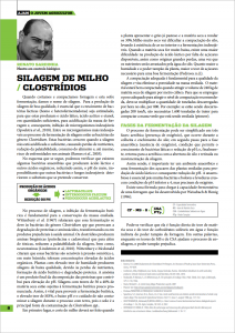 silagem de milho clostrídios