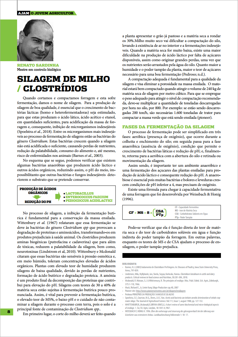 silagem de milho clostrídios