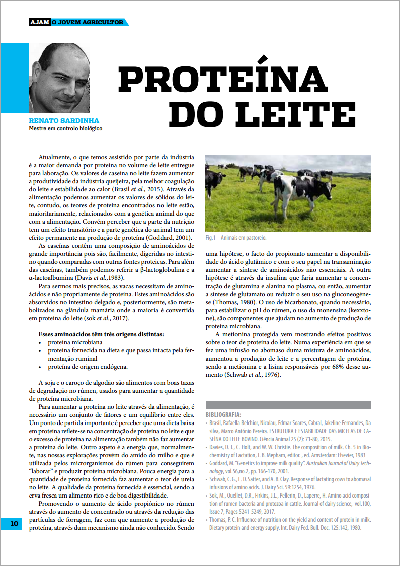 proteína do leite