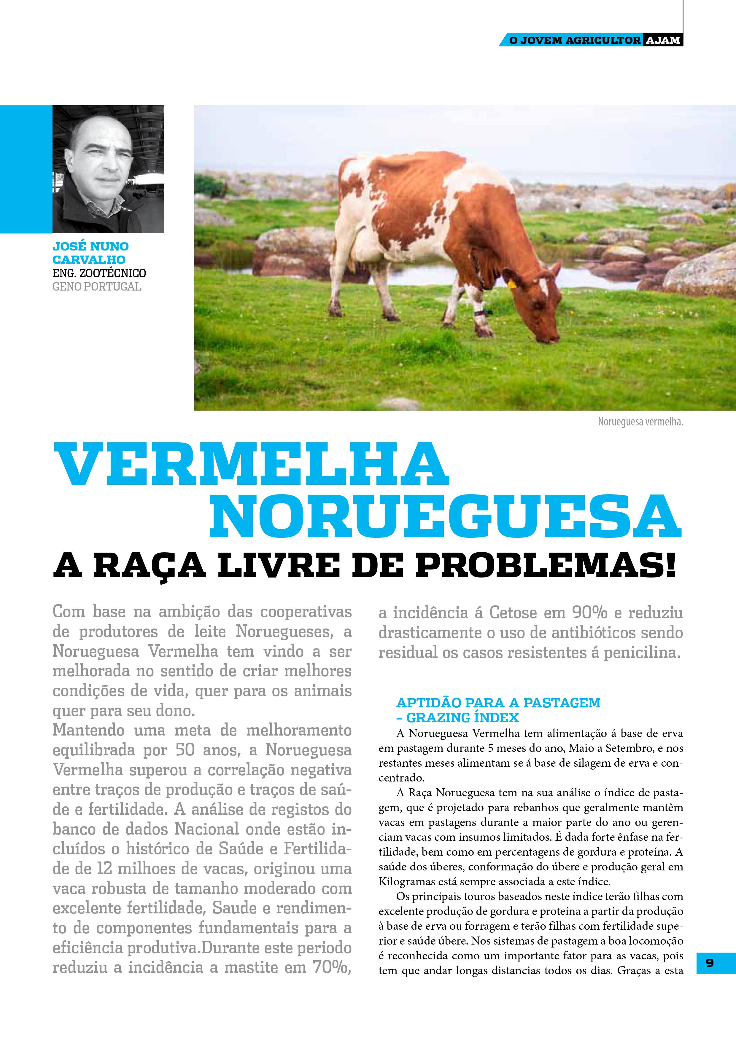 vermelha norueguesa 1