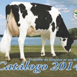 catalogo-touros_page_01