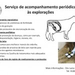catalogo-touros_page_30