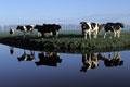 Exportação é o caminho a seguir para futuro da agricultura