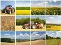 agricola2